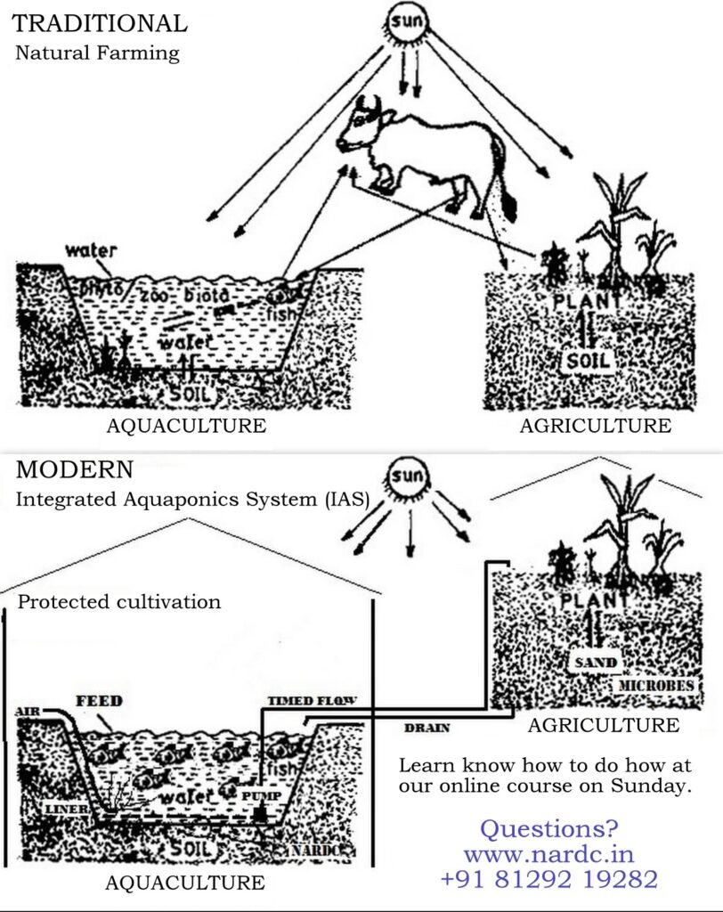 traditional-vs-modern-nardc-in